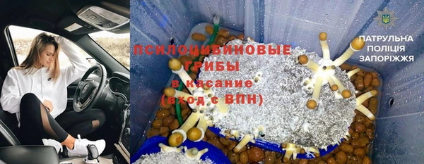 сатива Медвежьегорск
