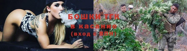 хмурый Армянск