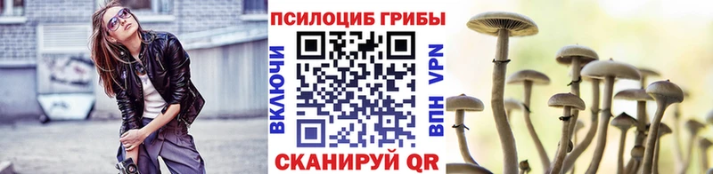 Галлюциногенные грибы прущие грибы  Углич 